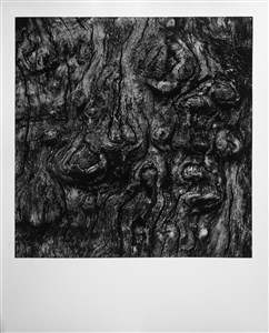 Image description is not available for 2024.072